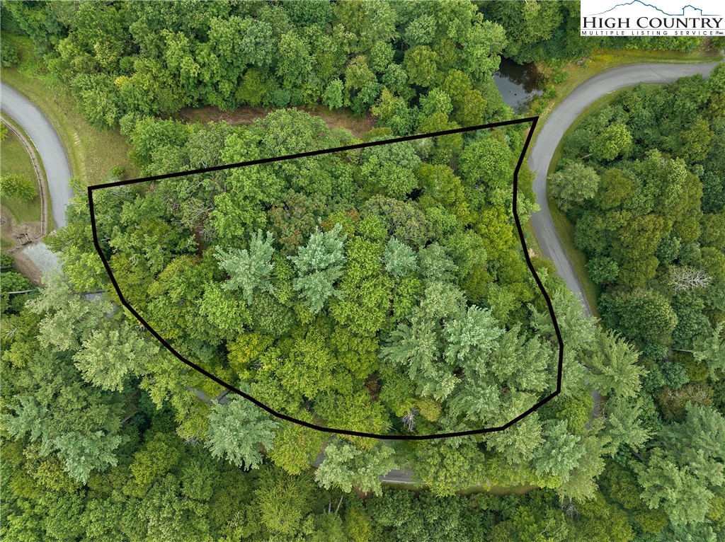 Lot L3 Woodlake Loop Road Elk Park, NC 28622 - Photo 3 of 18 a view of a yard & mountain view