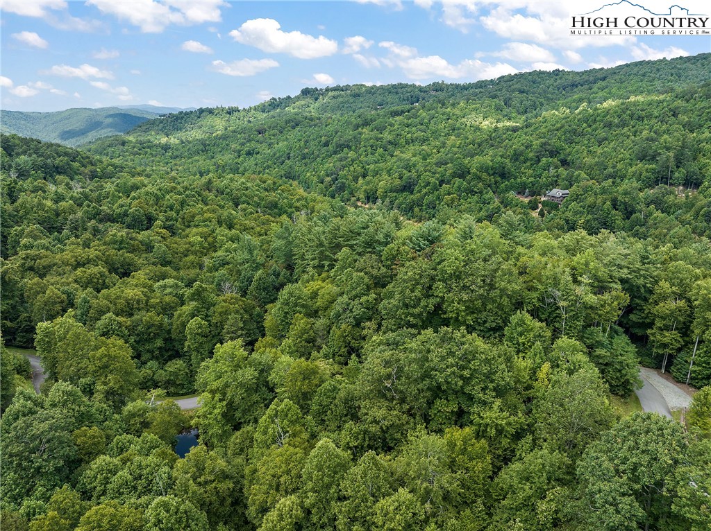 Lot L3 Woodlake Loop Road Elk Park, NC 28622 - Photo 6 of 18 a view of a bunch of trees