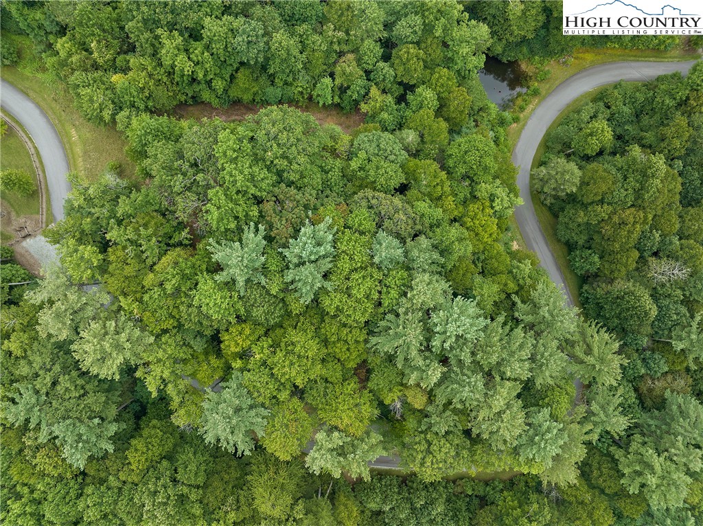 Lot L3 Woodlake Loop Road Elk Park, NC 28622 - Photo 7 of 18 a view of a garden