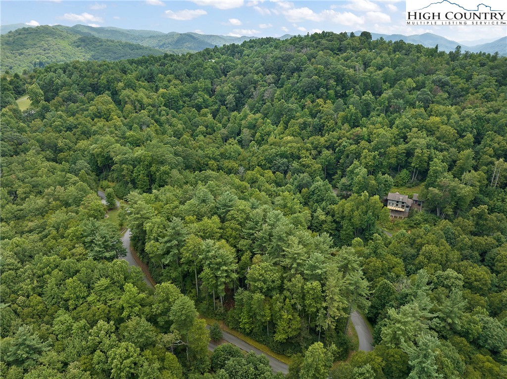 Lot L3 Woodlake Loop Road Elk Park, NC 28622 - Photo 8 of 18 a view of a field of grass and trees