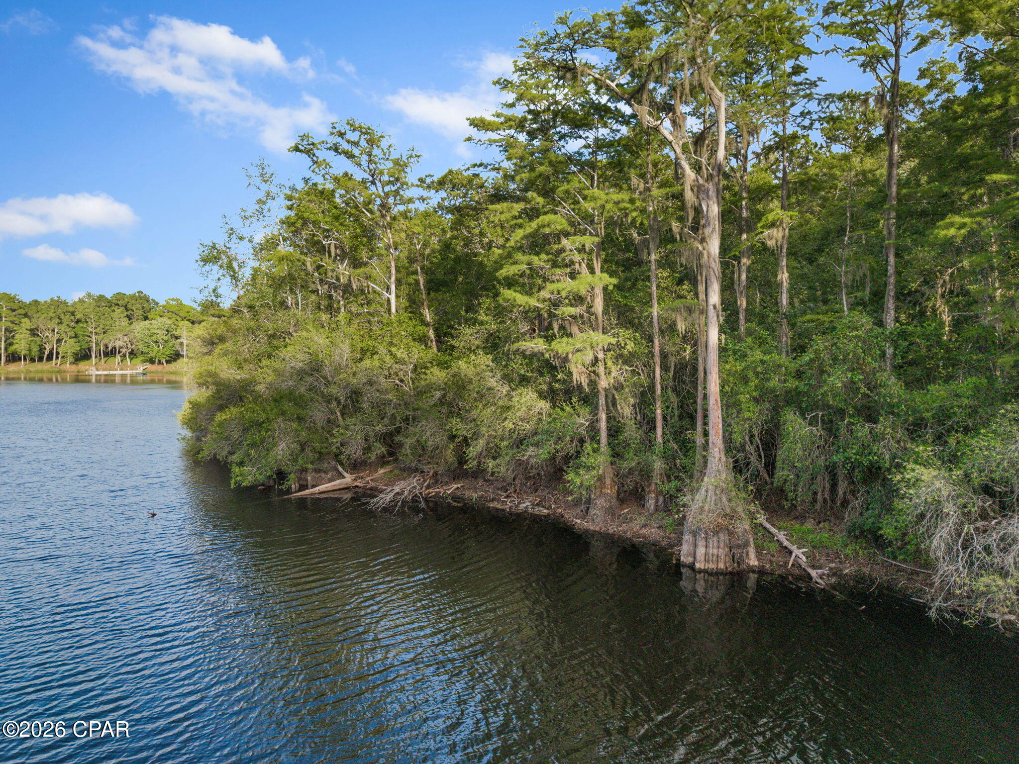0 Rio Vista Road Chipley, FL 32428 - Photo 3 of 24 Gallery Image 3