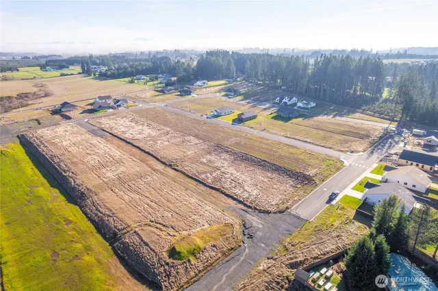 a view of a swimming pool with a lounge chairs