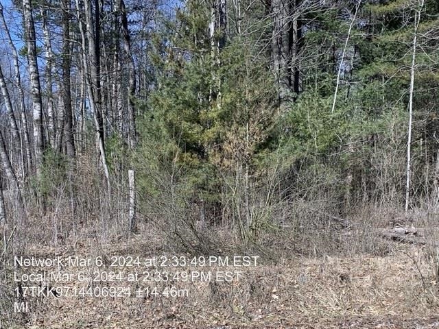 0 East Timreck Road, Unit PARCEL A Tawas City, MI 48763 - Photo 4 of 6