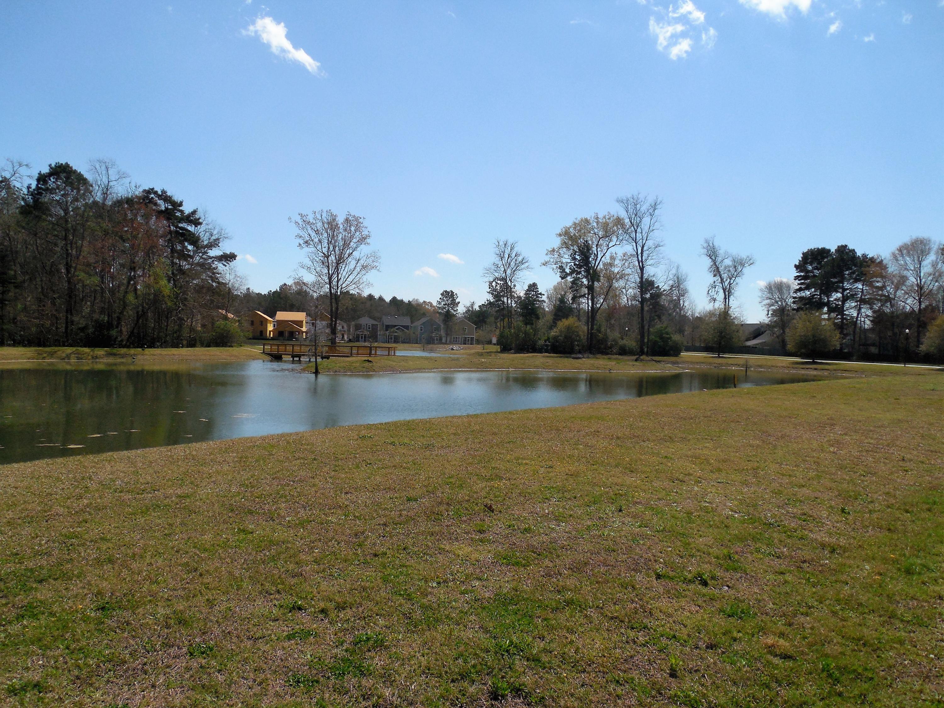 830 Rue Drive Charleston, SC 29414 - Photo 21 of 27 DSCN1130