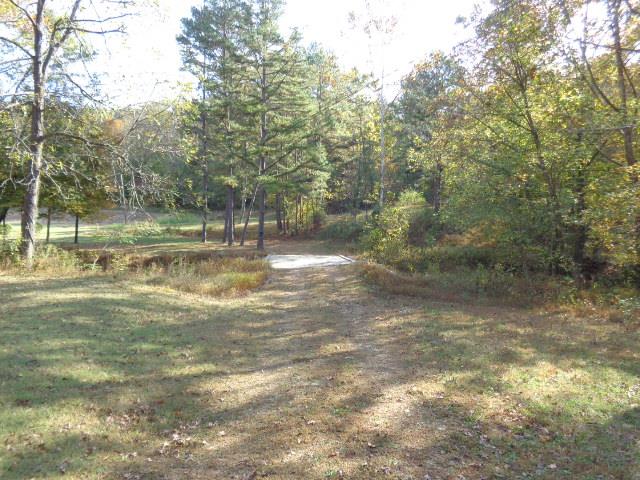 1709 Waverly Road Tennessee Ridge, TN 37178 - Photo 1 of 30 Welcome to 1709 Waverly Road.Perfect for homestead. Year around creek, no sign at the road. 44 acres level and hilly aparagus beds, persimmon trees, walnut Abundant Deer and turkey Large L shaped garage 20 ft wide X60 long x 40.