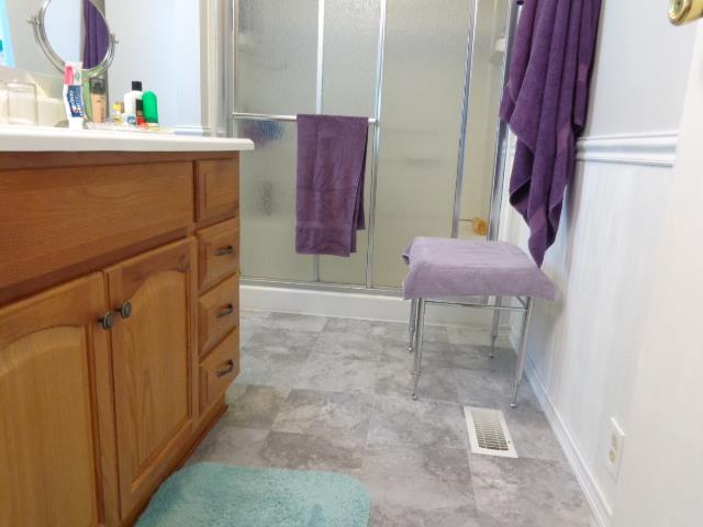 1709 Waverly Road Tennessee Ridge, TN 37178 - Photo 22 of 30 New master vanity. Shower only in the master bath
