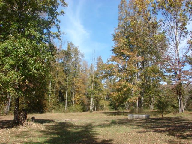 1709 Waverly Road Tennessee Ridge, TN 37178 - Photo 5 of 30 I can hear all the laughter as family is riding horses hiking or using the land for 4 wheelers.