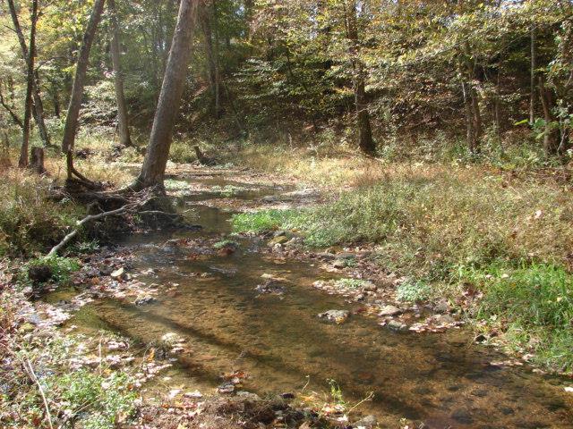 1709 Waverly Road Tennessee Ridge, TN 37178 - Photo 6 of 30 Romp in the creek, owner has seen fish 8-12 inches length to minnows.