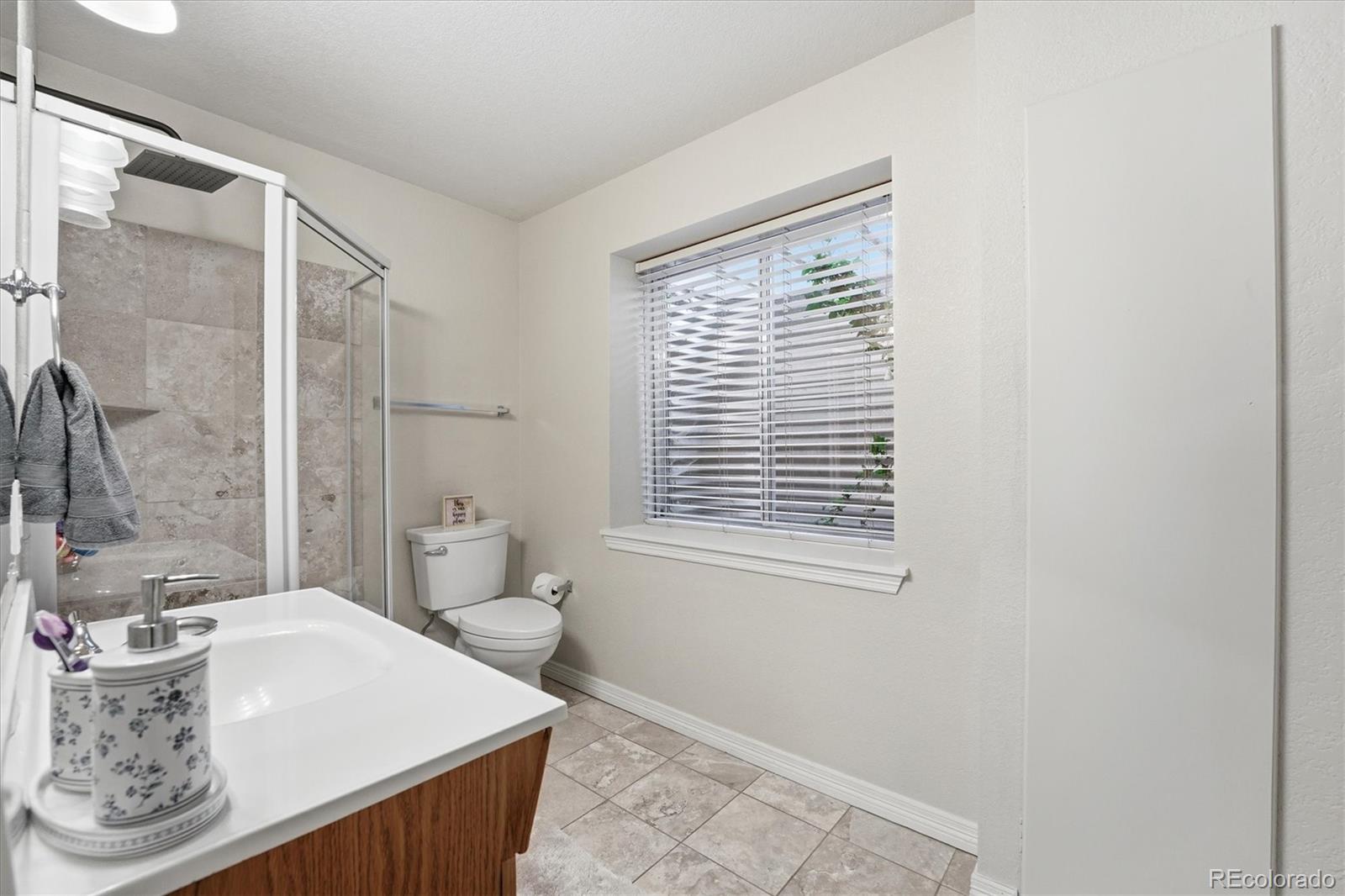 822 Shadowstone Drive Highlands Ranch, CO 80129 - Photo 35 of 45