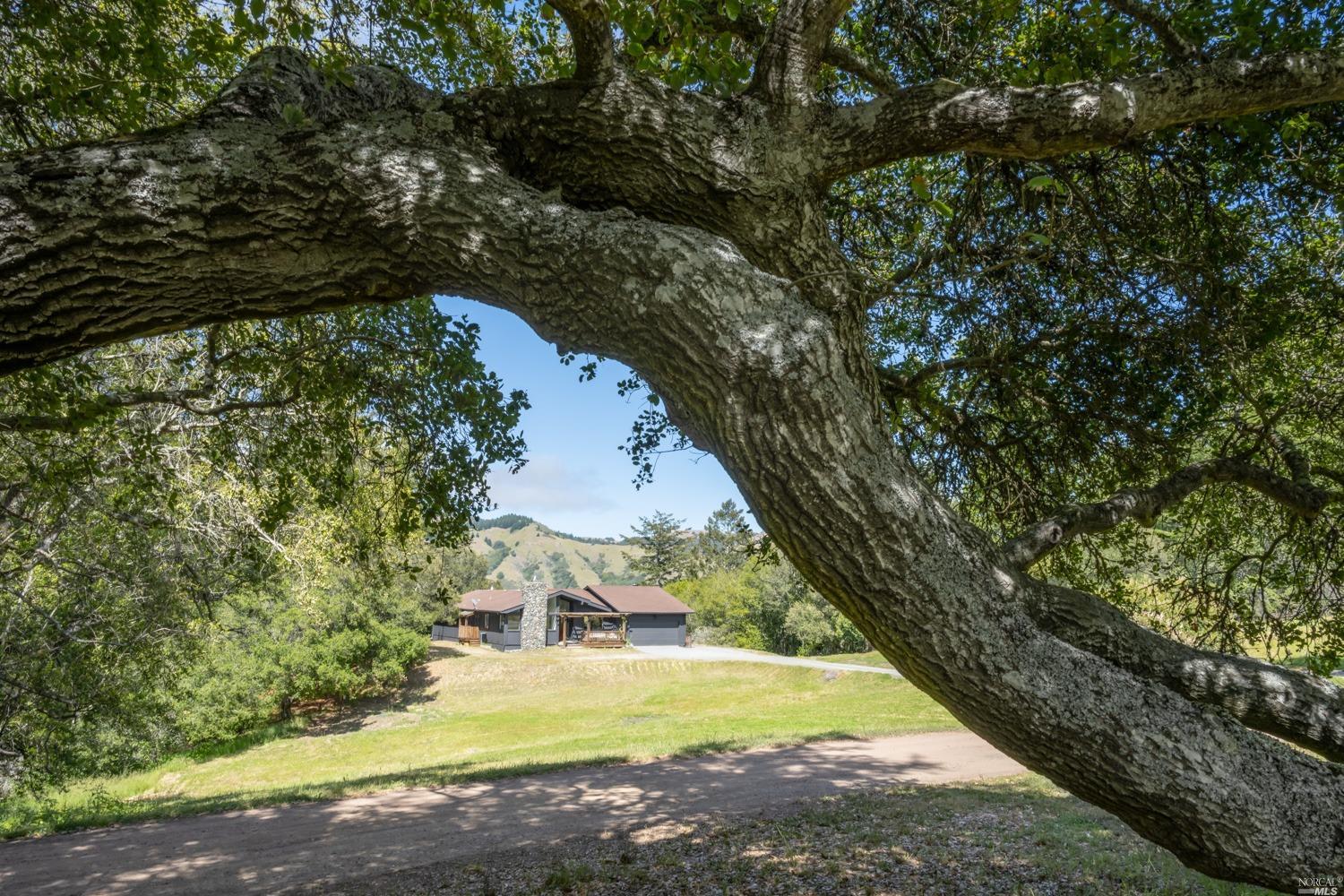 5757 Lucas Valley Road Nicasio, CA 94946 - Photo 34 of 60 a view of a yard with swimming pool