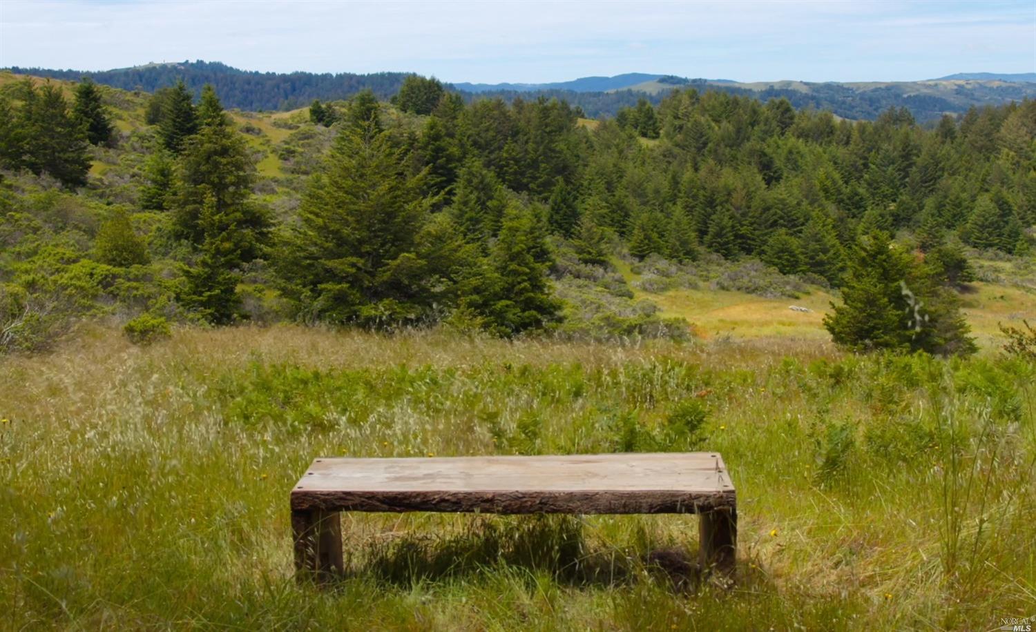 5757 Lucas Valley Road Nicasio, CA 94946 - Photo 37 of 60 a view of a lake with mountain in the background