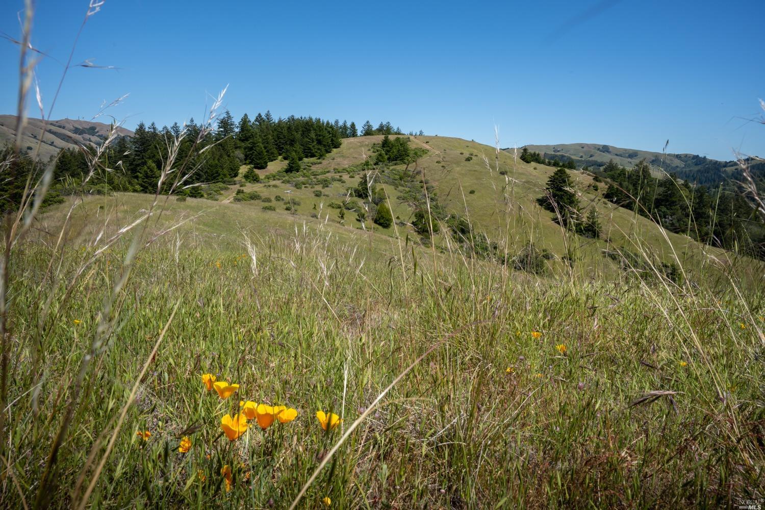 5757 Lucas Valley Road Nicasio, CA 94946 - Photo 48 of 60