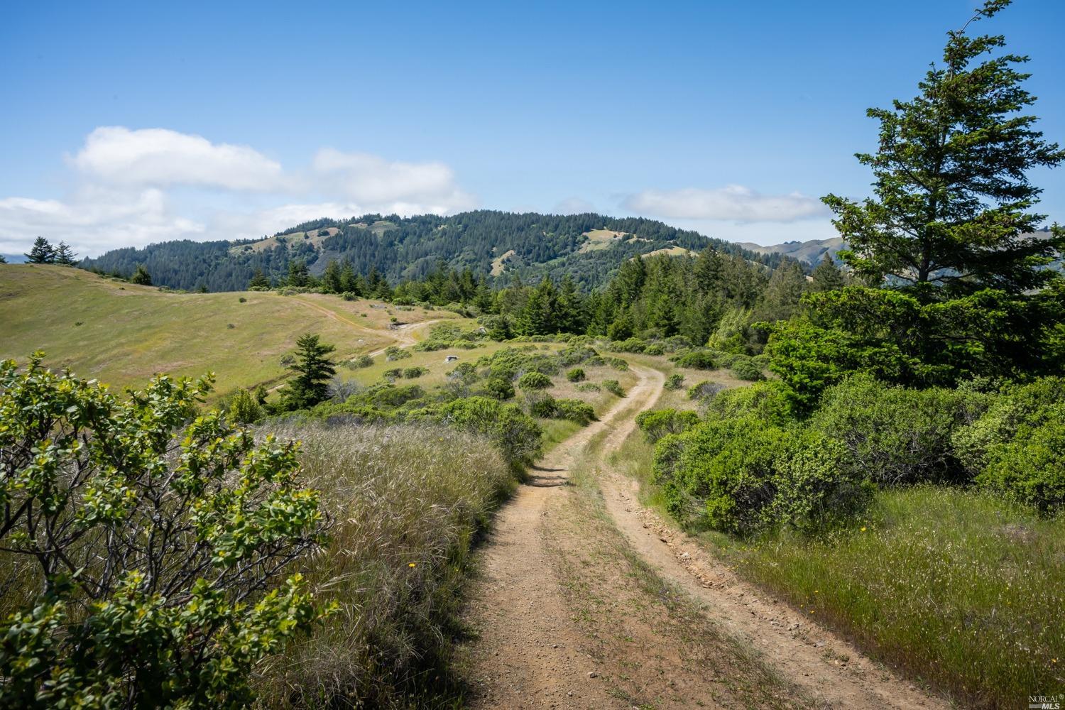 5757 Lucas Valley Road Nicasio, CA 94946 - Photo 50 of 60 a view of a lake with mountains in the background
