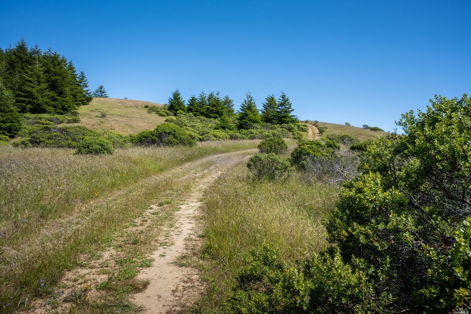 5757 Lucas Valley Road Nicasio, CA 94946 - Photo 51 of 60 a view of a yard with a house