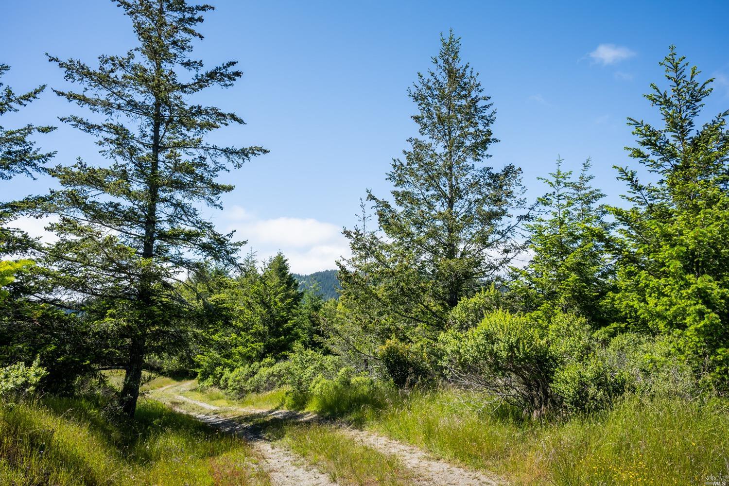 5757 Lucas Valley Road Nicasio, CA 94946 - Photo 52 of 60