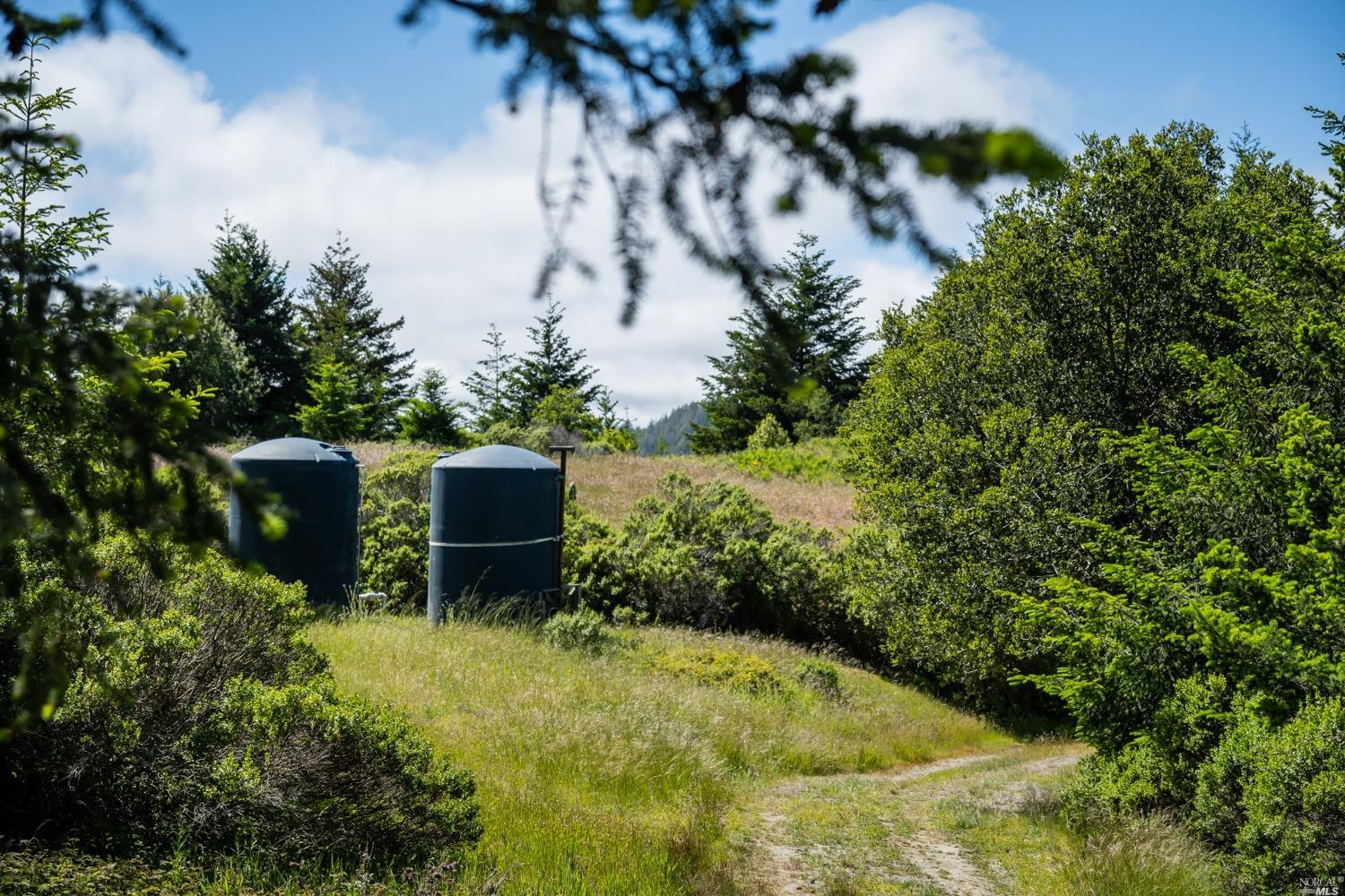 5757 Lucas Valley Road Nicasio, CA 94946 - Photo 53 of 60 a backyard of a house with yard and outdoor seating