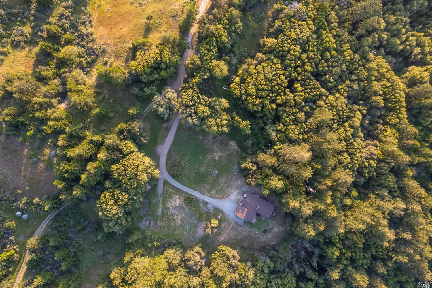 5757 Lucas Valley Road Nicasio, CA 94946 - Photo 56 of 60 a view of a tree with a yard