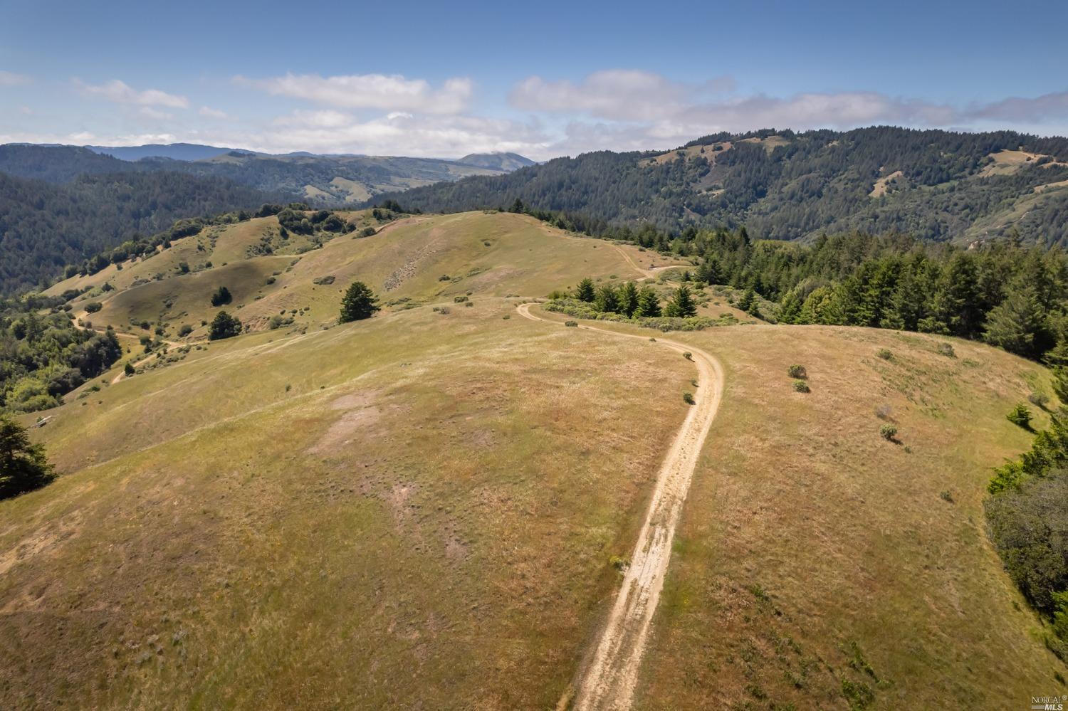 5757 Lucas Valley Road Nicasio, CA 94946 - Photo 57 of 60 a view of a dry yard with mountain