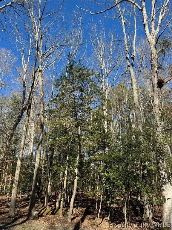 8409 Croaker Road Williamsburg, VA 23188 - Photo 1 of 1 Gallery Image 1