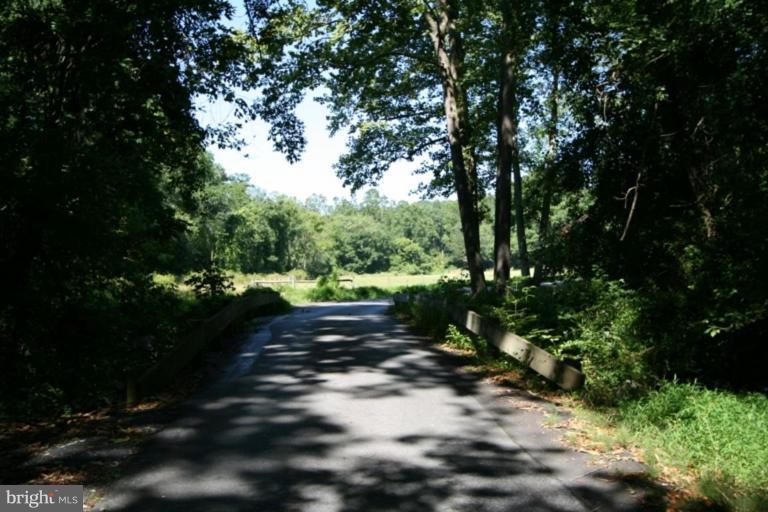 Wainwright Road Highland, MD 20777 - Photo 1 of 5 a view of a park with large trees