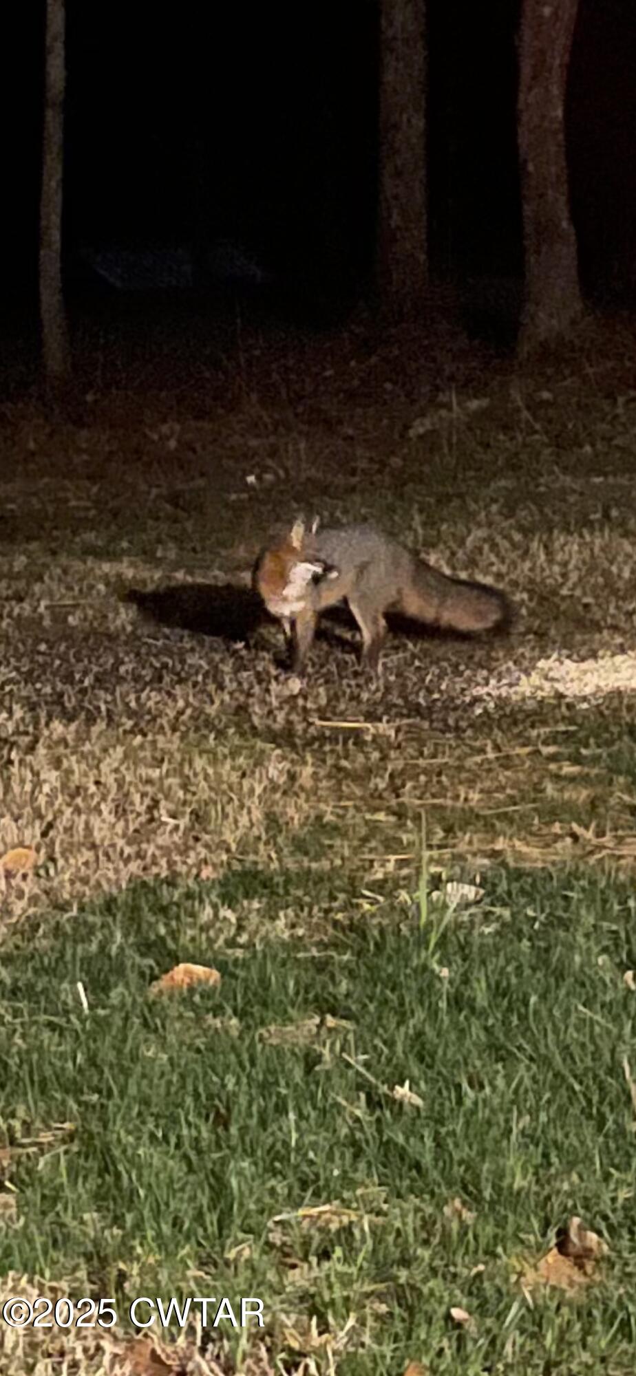 3482 Forty Forks Road Bethel Springs, TN 38315 - Photo 48 of 50 IMG_0606