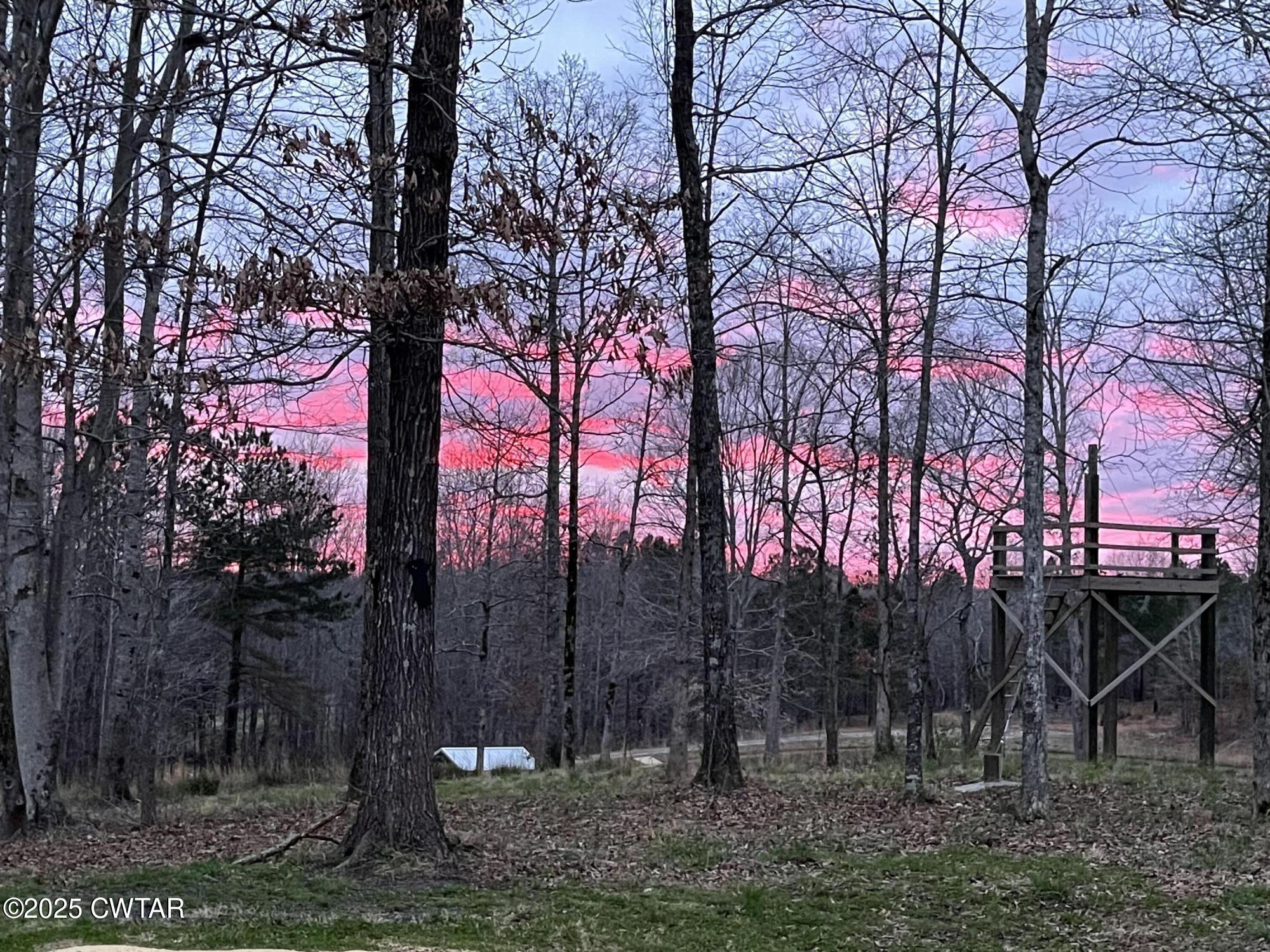 3482 Forty Forks Road Bethel Springs, TN 38315 - Photo 49 of 50 IMG_2573