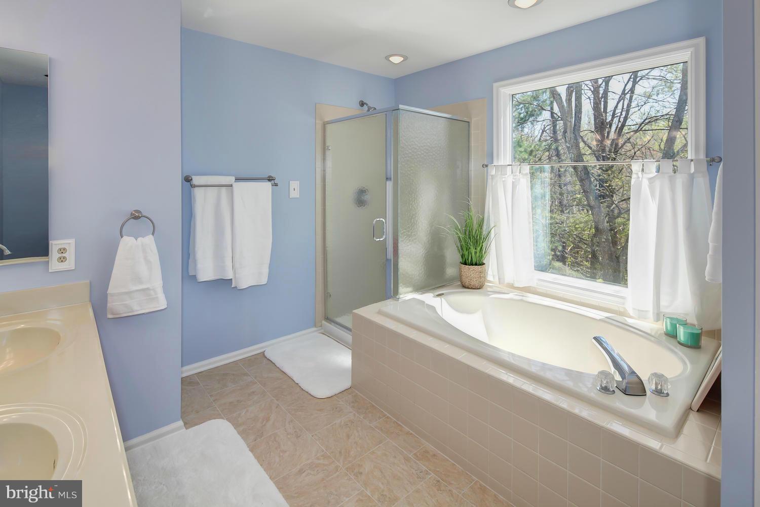 12557 Rock Ridge Road Herndon, VA 20170 - Photo 17 of 25 Bath (Master)