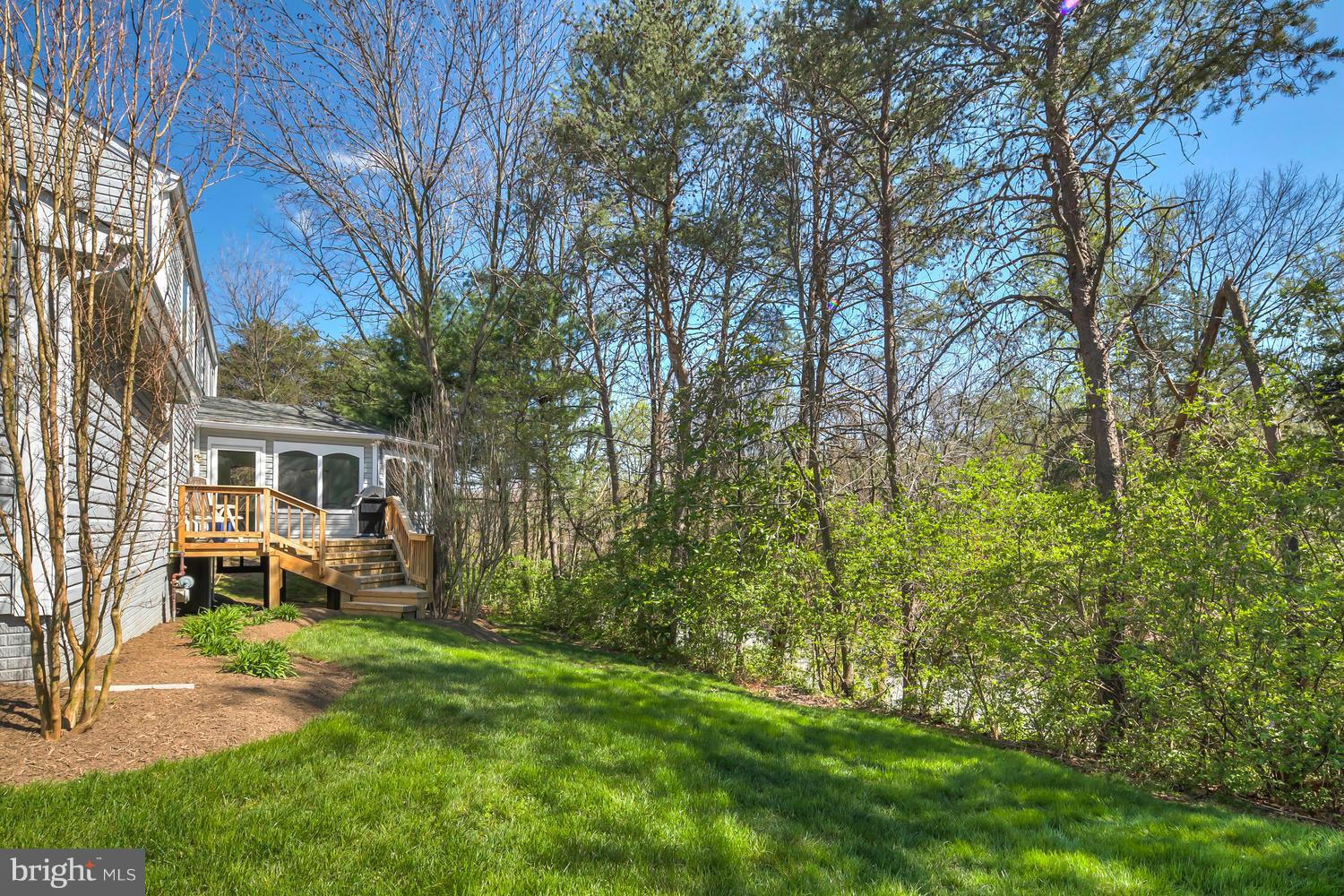 12557 Rock Ridge Road Herndon, VA 20170 - Photo 24 of 25 Exterior (Rear)