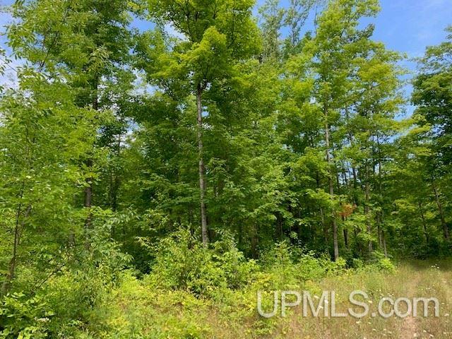 Tbd M69 Nadeau, MI 49863 - Photo 7 of 14