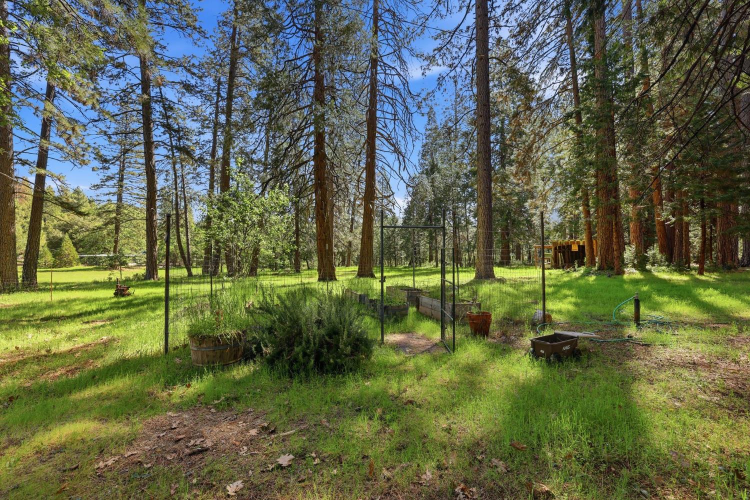 17889 Douglas Road Nevada City, CA 95959 - Photo 57 of 72