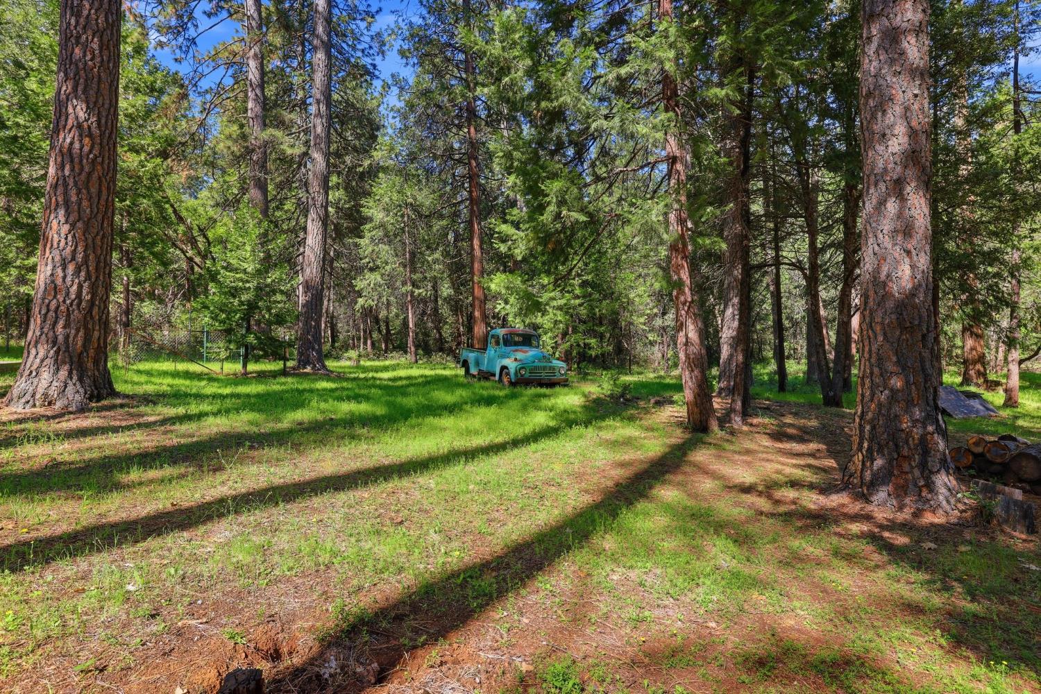 17889 Douglas Road Nevada City, CA 95959 - Photo 61 of 72