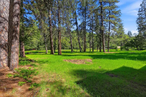 $579,000 | 17889 Douglas Road, Nevada City, CA 95959