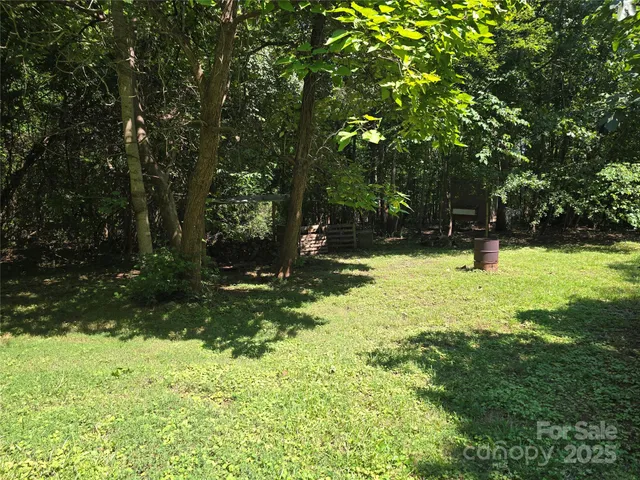 a view of a park with large trees