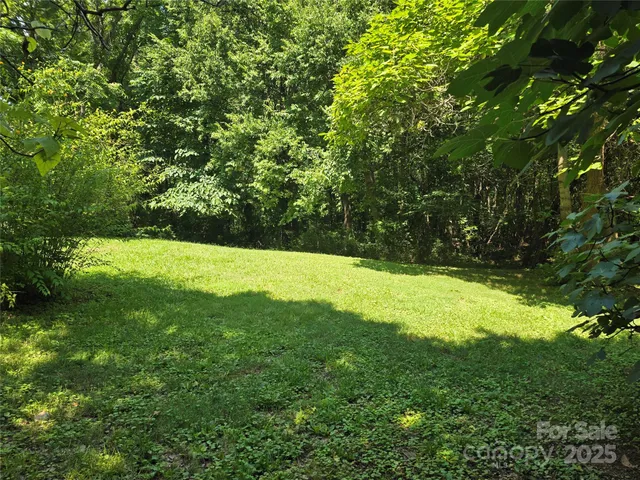 a view of yard with green space