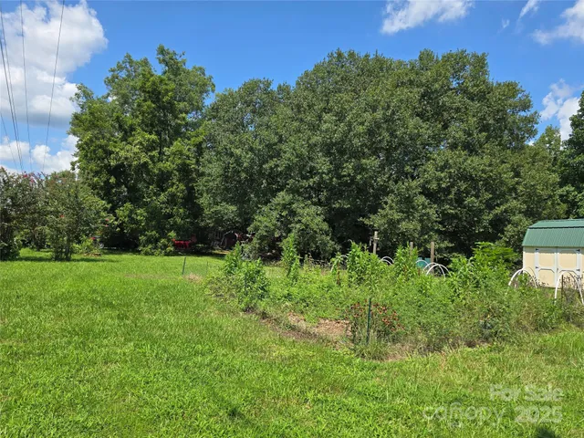 a view of a lush green space