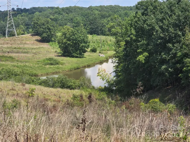 a view of a lush green space with sea