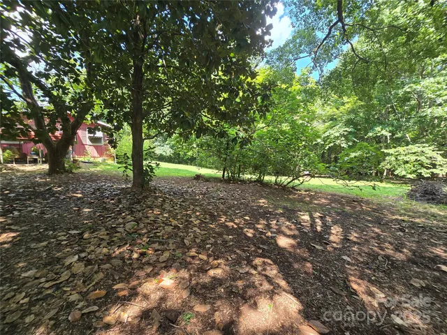 a backyard of a house with lots of green space
