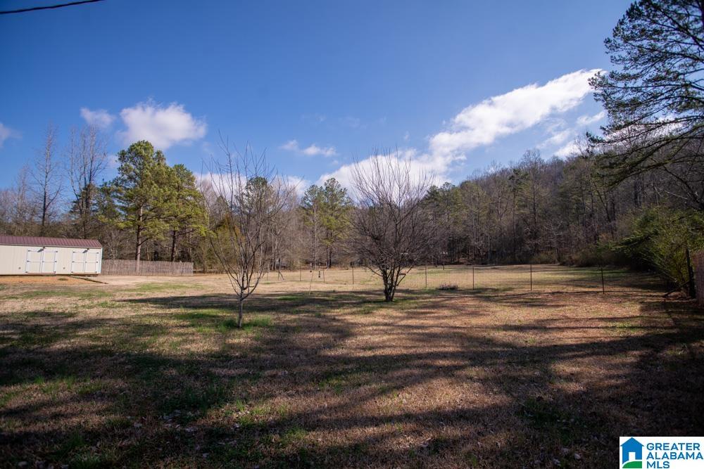 1028 Mt Gilead Road Jacksonville, AL 36265 - Photo 41 of 42