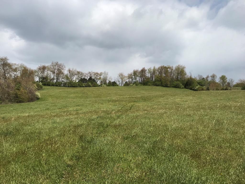 Tba Browning Road, Unit 912 Abingdon, VA 24211 - Photo 1 of 10 Gallery Image 1