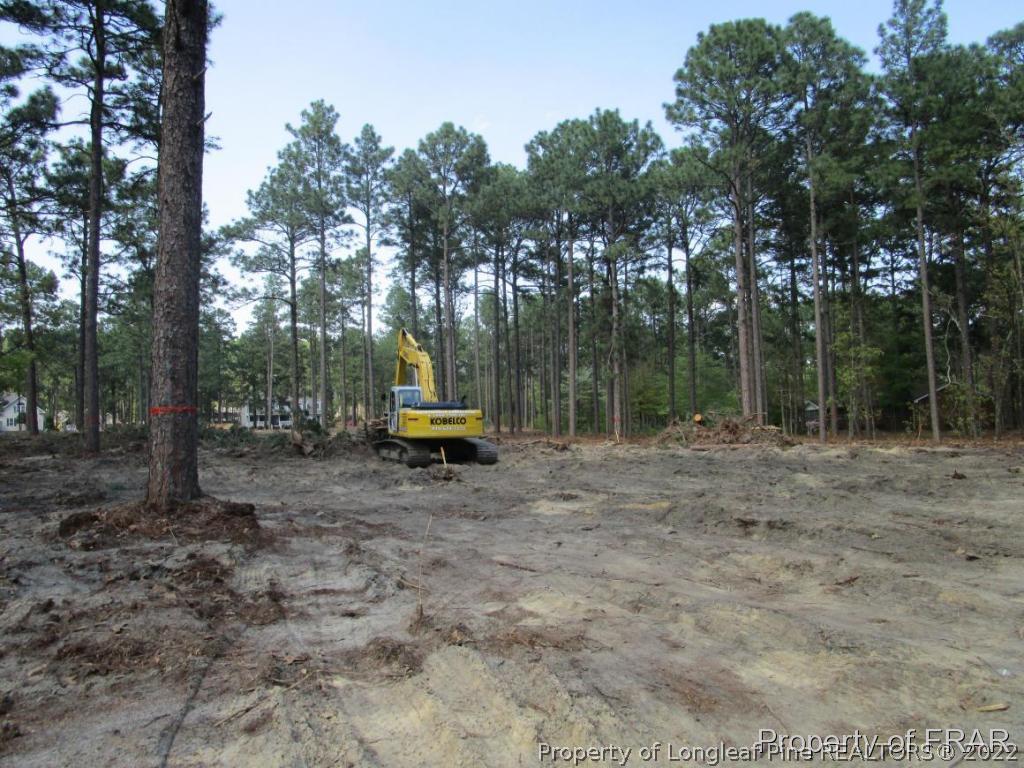 604 Longleaf Road Aberdeen, NC 28315 - Photo 5 of 8 a view of a yard with a tree