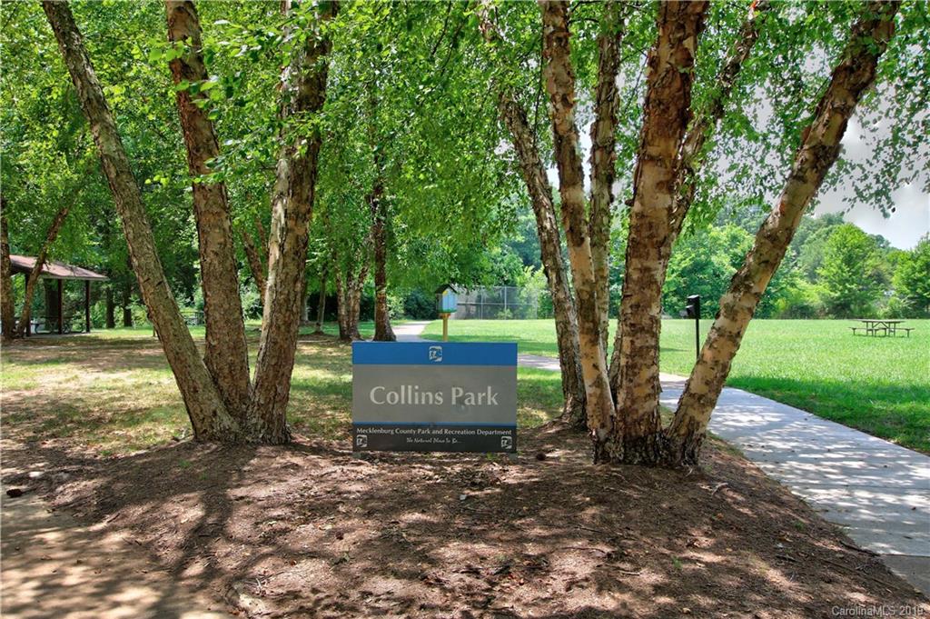 4137 Applegate Road Charlotte, NC 28209 - Photo 38 of 44 a view of a park that has large trees