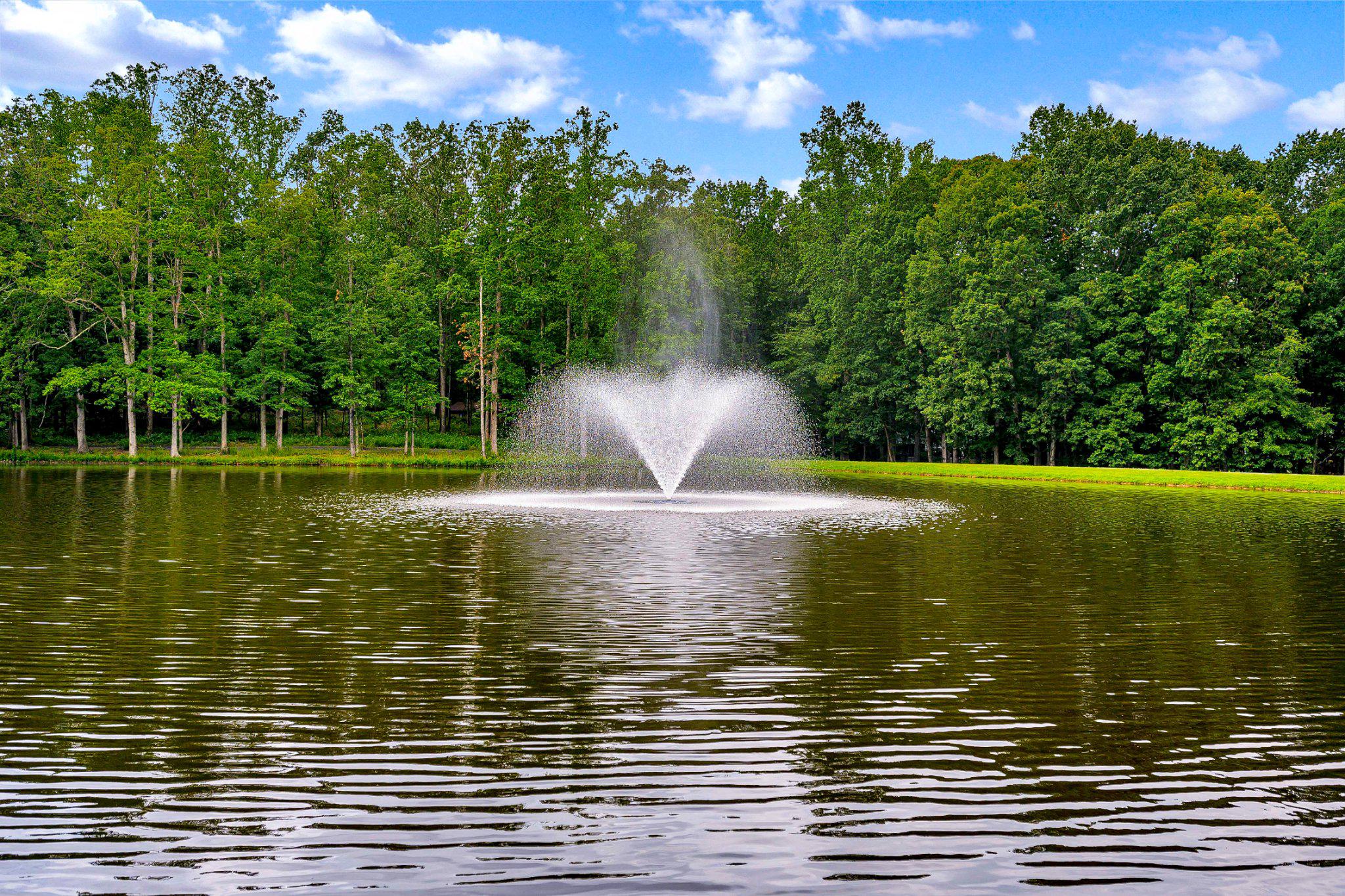 110 Federal Road Locust Grove, VA 22508 - Photo 63 of 77 a view of a water fountain and an outdoor space