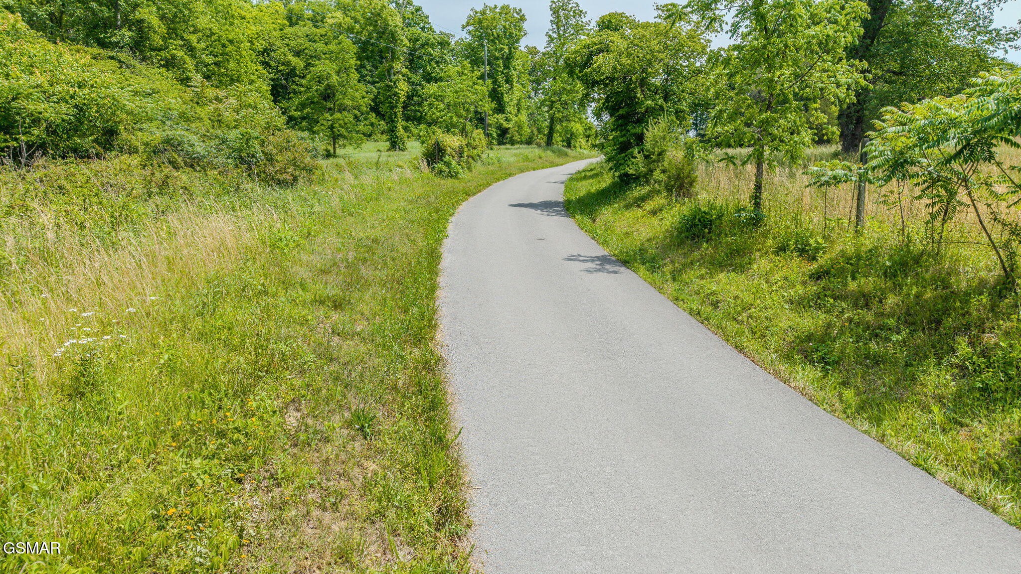 0 Poor Valley Road Rutledge, TN 37861 - Photo 1 of 9