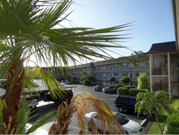 5467 Rattlesnake Hammock Road, Unit 204 Naples, FL 34113 - Photo 6 of 13 a view of backyard with outdoor seating and plants