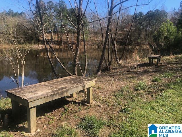 0 Shady Point Road, Unit 18 18 & 19 Locust Fork, AL 35097 - Photo 15 of 26