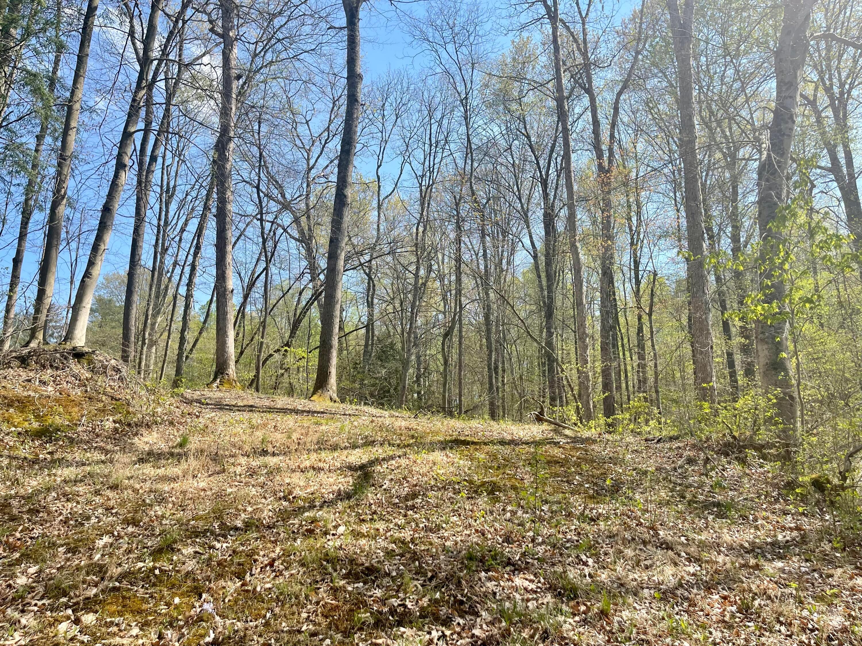 0 Dunlap Road Rockbridge, OH 43149 - Photo 15 of 18 0 Dunlap Road, Rockbridge, Ohio