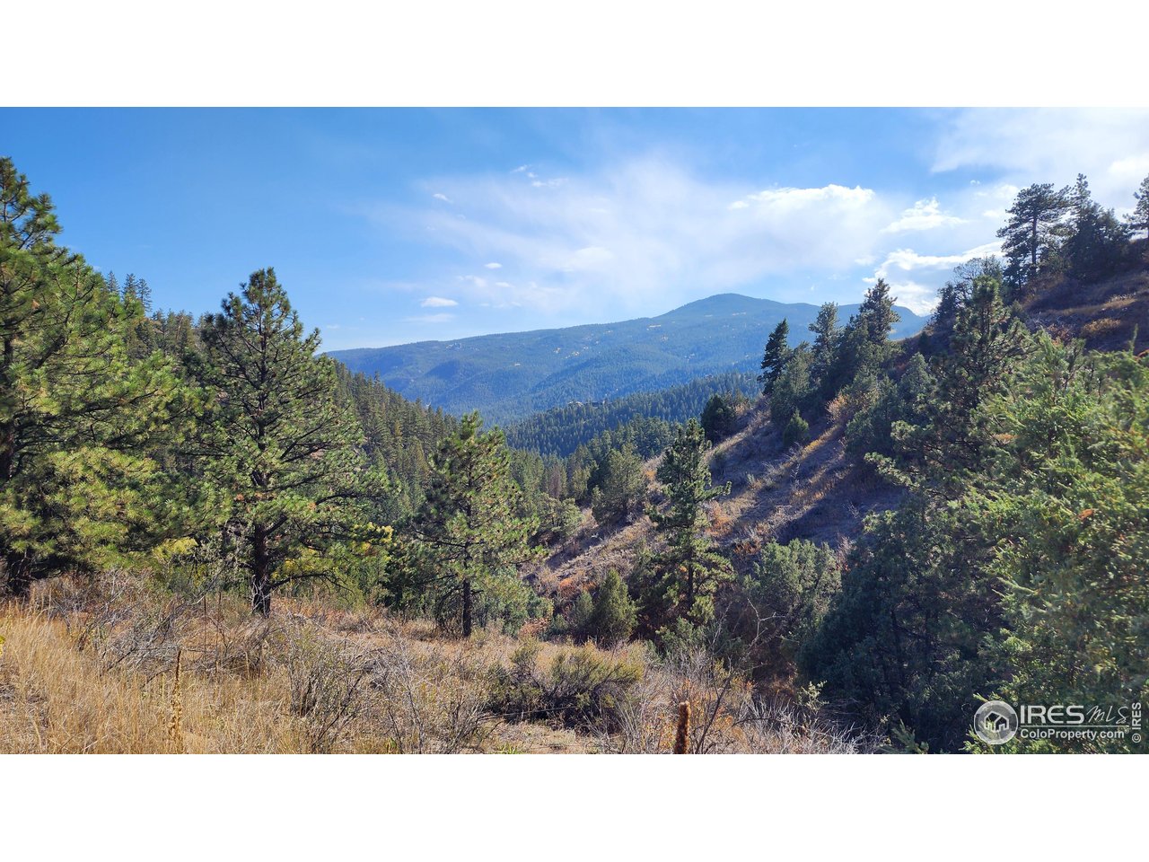 84 Copper Hill Road Drake, CO 80515 - Photo 24 of 28