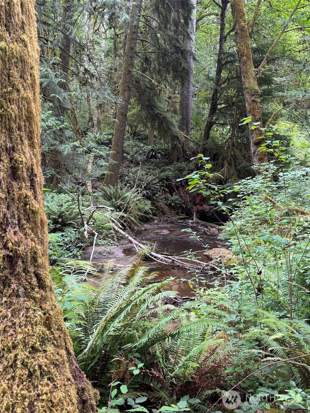 0 Nels Nelson Road Northwest Bremerton, WA 98311 - Photo 4 of 22