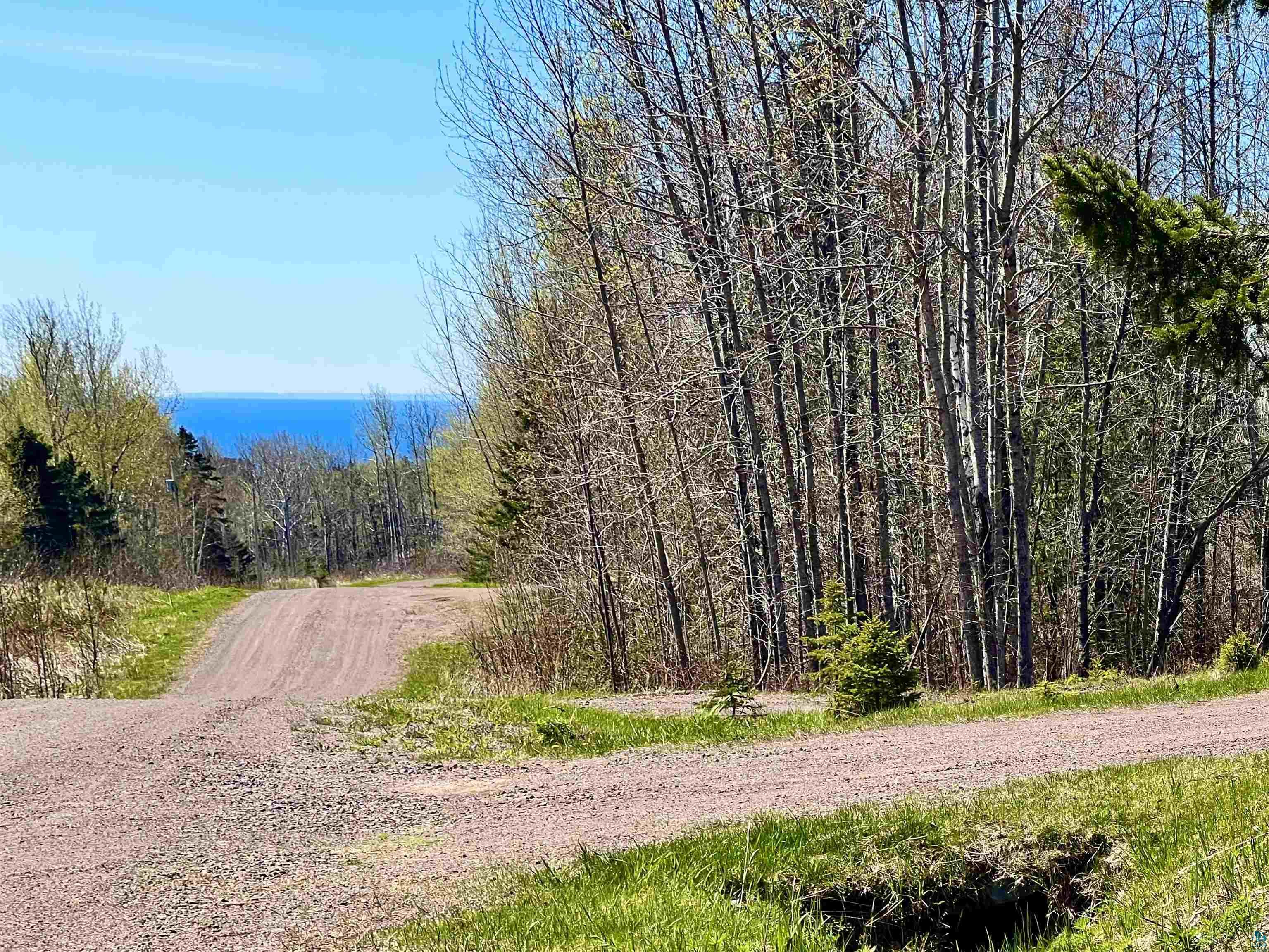 67 Snowshoe Trail Tofte, MN 55615 - Photo 4 of 42 Gravel driveway surrounded by mature trees, leading to views of Lake Superior!