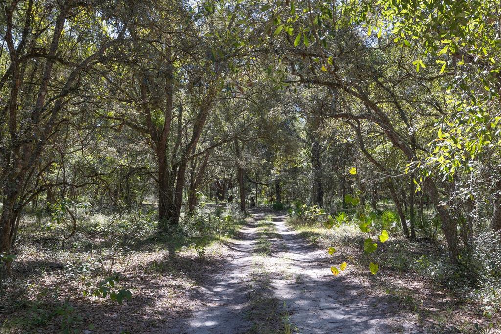 673 Webster Webster, FL 33597 - Photo 55 of 69 Gallery Image 55